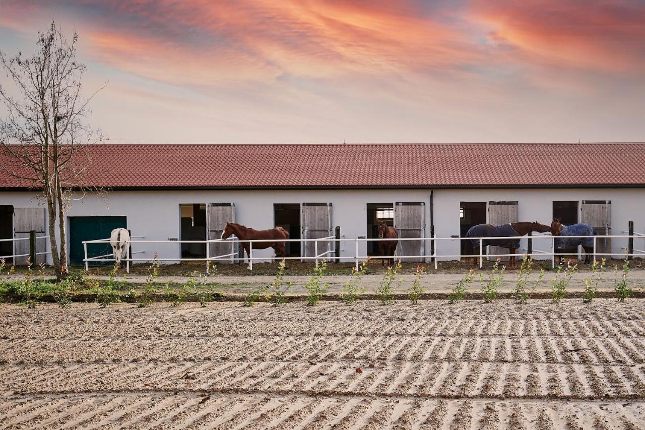 Brussa Horse Oasi Villa Caorle Exteriör bild
