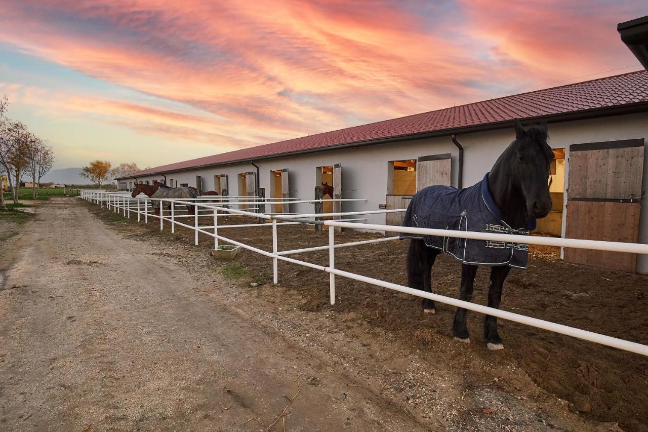 Brussa Horse Oasi Villa Caorle Exteriör bild